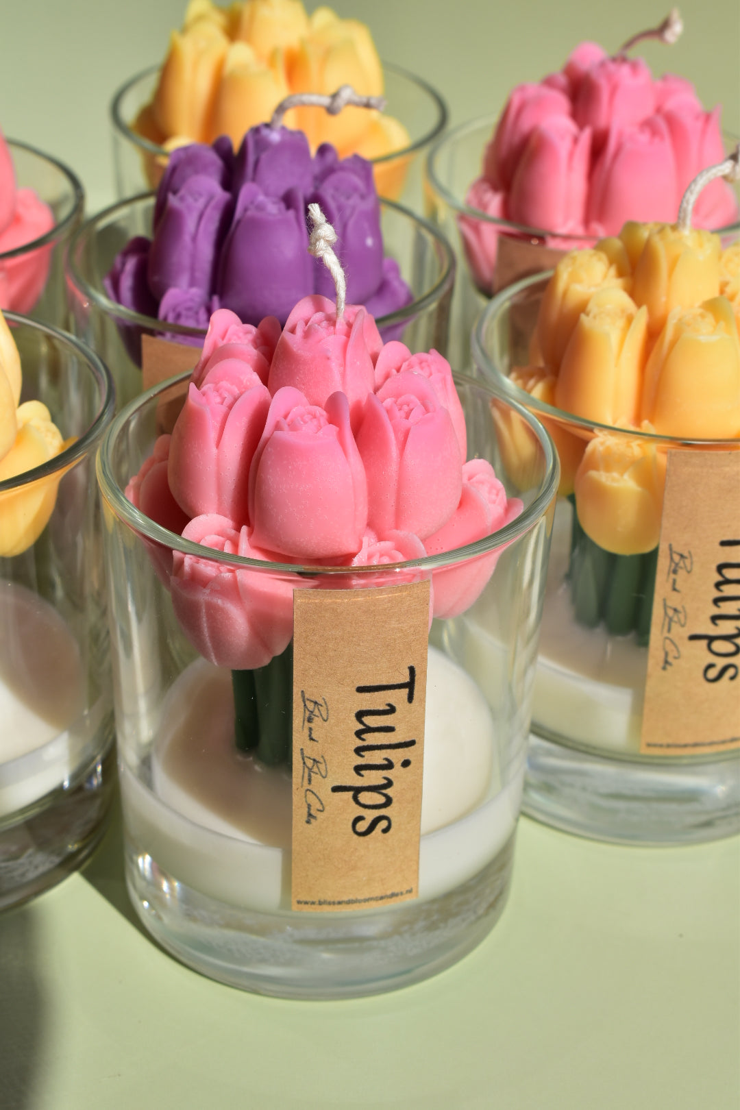 Dutch tulips
