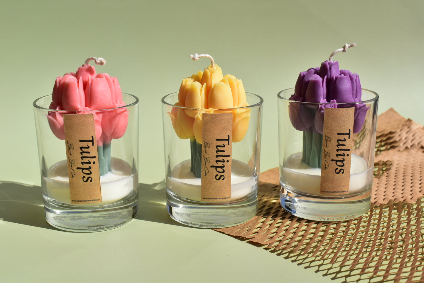Dutch tulips