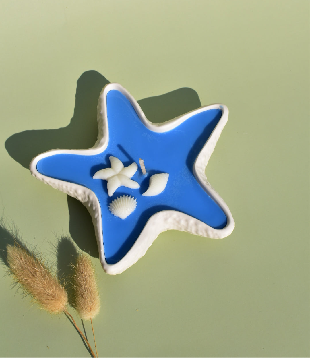 Starfish candle